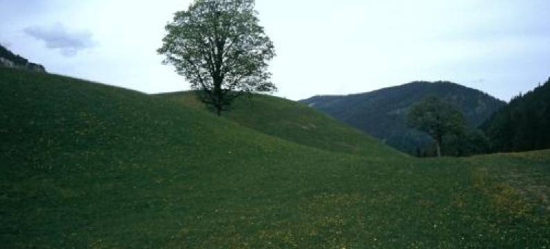 欧本库培霍夫公寓(Apartment Obergruberhof)图片