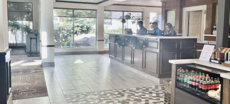 Acp Hotel Houston Westchase, Mod Collection by Sonesta图片