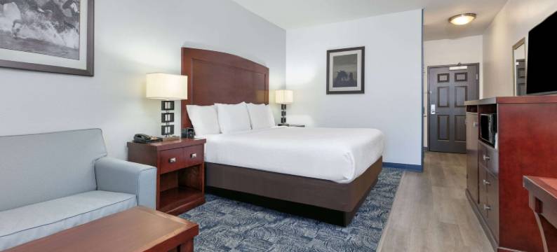 沃思堡东北购物中心拉昆塔温德姆套房酒店(La Quinta Inn & Suites by Wyndham Fort Worth NE Mall)图片