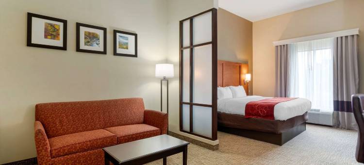 金斯波特南舒适套房酒店(Comfort Suites)图片