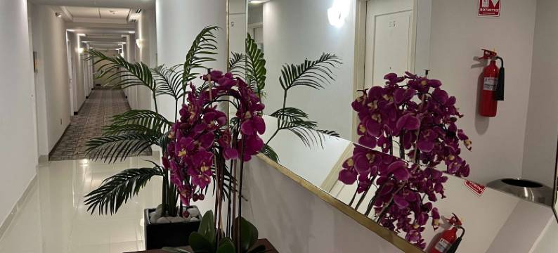 拉昆塔-温德姆雷诺萨酒店(La Quinta by Wyndham Reynosa)图片