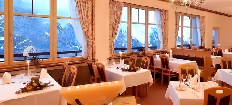 雪绒花高级酒店(Hotel Edelweiss Superior)图片