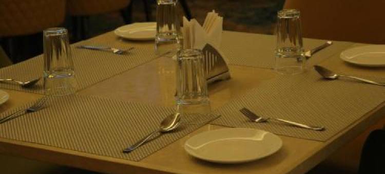 潘迪特莫拉吉旅馆(Pt Moolraj Residency)图片