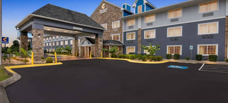 舒适酒店及套房纳什维尔 靠近Tanger Outlets I-24 安提阿克(Comfort Inn & Suites Nashville Near Tanger Outlets I-24 Antioch)图片