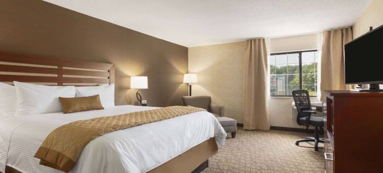 大急流城机场温德姆花园酒店(Wyndham Garden Grand Rapids Airport)图片