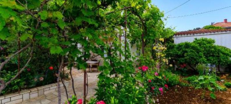 温科公寓酒店(Apartments Vinko)图片