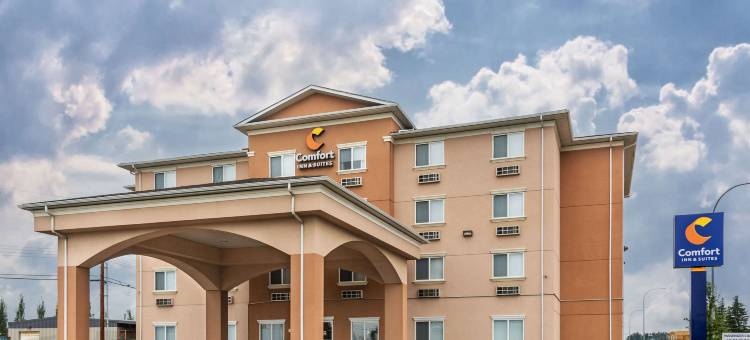 埃德森舒适酒店(Comfort Inn & Suites)图片