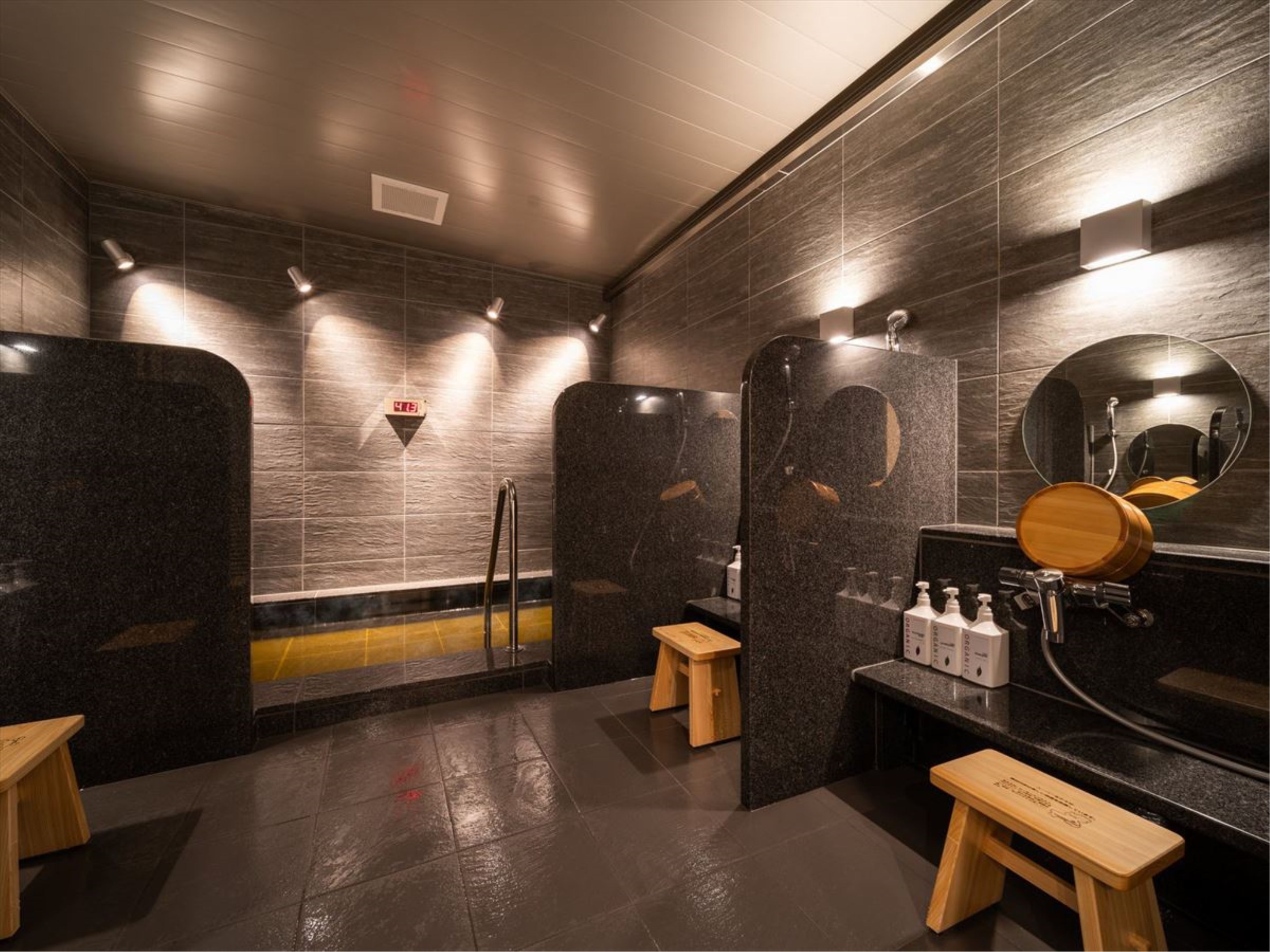 Super Hotel Premier Saitama HigashiguchiOver view