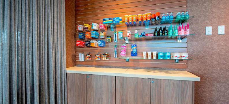 德卢斯海滨万枫套房酒店(Fairfield Inn & Suites Duluth Waterfront)图片