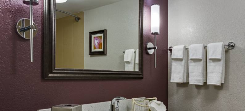 奥兰多东佛罗里达中央大学区希尔顿逸林酒店(DoubleTree by Hilton Orlando East - UCF Area)图片