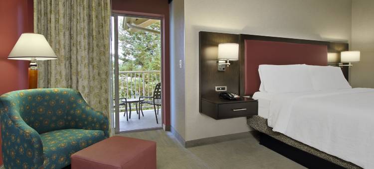 索诺玛县机场希尔顿花园酒店(Hilton Garden Inn Sonoma County Airport)图片