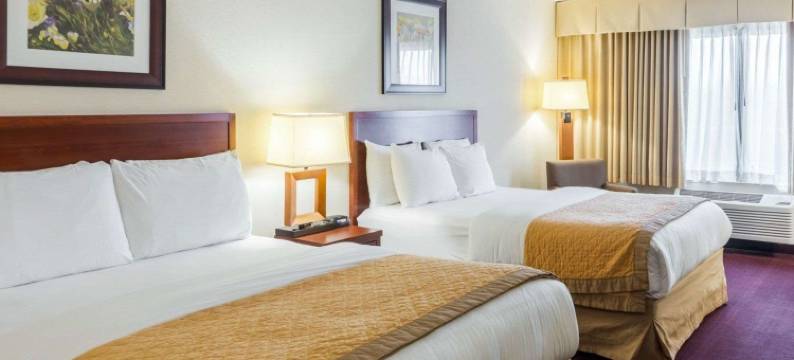 萨默塞特凯隆酒店-新不伦瑞克(Clarion Hotel Somerset - New Brunswick)图片