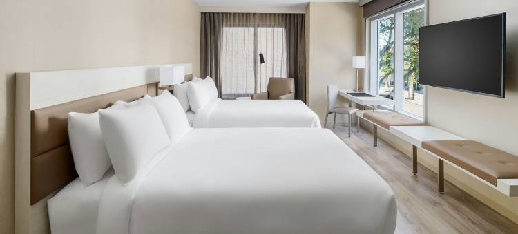 AC圣彼得堡市中心酒店(AC Hotel St. Petersburg Downtown)图片