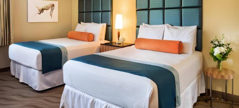 波尔图维斯塔酒店(Porto Vista Hotel in Little Italy)图片