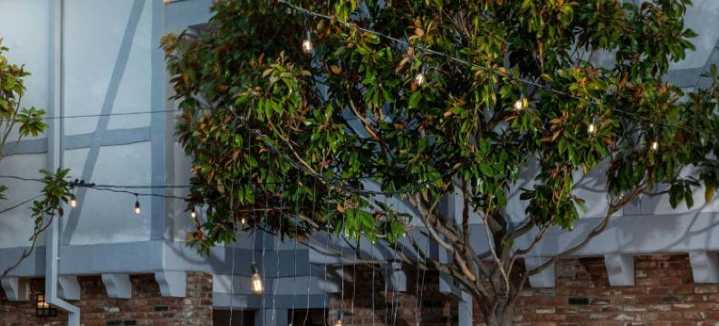 索尔万科尔克酒店 Tribute Portfolio 酒店(Corque Hotel, Solvang, A Tribute Portfolio Hotel)图片