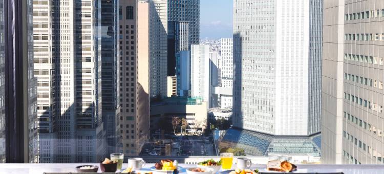 新宿华盛顿附楼酒店(Shinjuku Washington Hotel Annex)图片