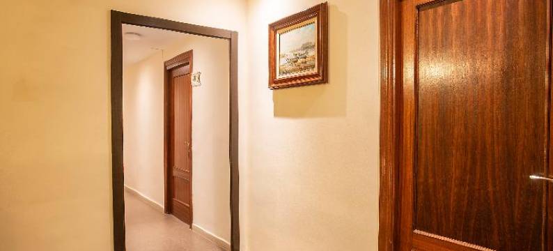 普拉亚索尔酒店(Hotel Playa Sol)图片