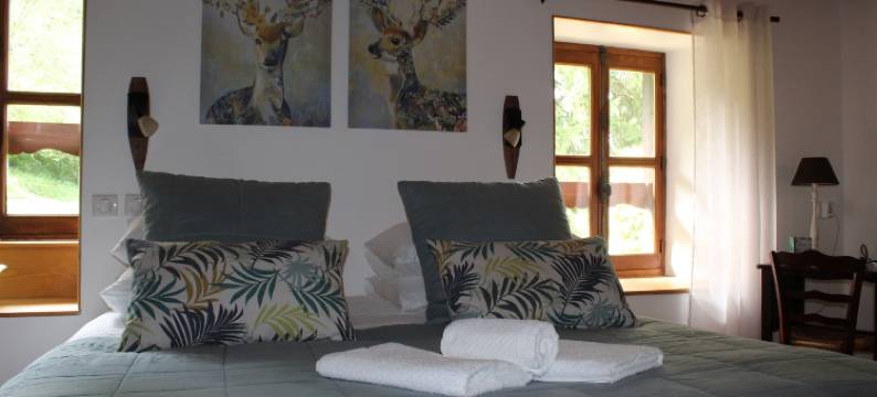 勒皮皮斯特雷勒酒店(Les Pipistrelles)图片