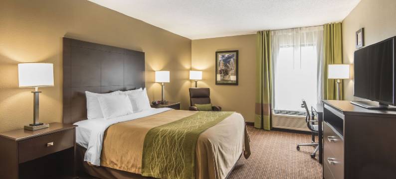 近欢闹世界舒适套房酒店(Comfort Inn & Suites Kansas City - Northeast)图片