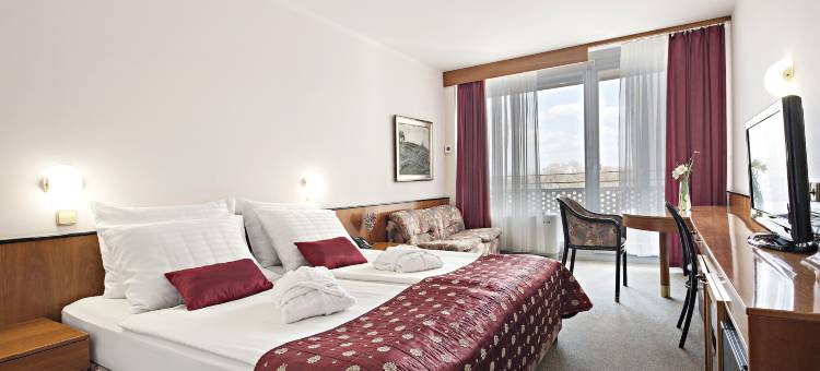 雷丁萨瓦酒店暨度假村(Radin - Sava Hotels & Resorts)图片