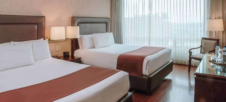 危地马拉市凯隆套房酒店(Hotel Clarion Suites Guatemala)图片
