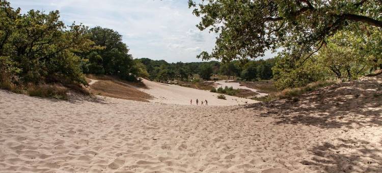 Bedafse Bergen的有露台的平房(Bungalow with a Terrace at Bedafse Bergen)图片