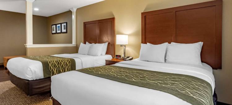Comfort Inn & Suites Pittsburgh South图片