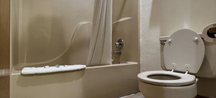 南方之夜汽车旅馆(Southern Nights Motel)图片