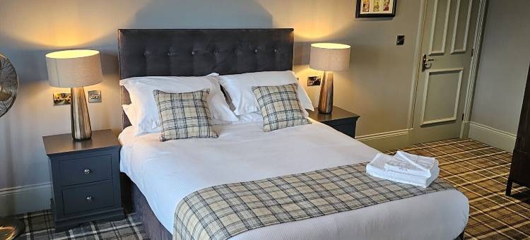 常春藤树(The Ivy Tree)图片