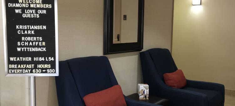 舒适套房酒店(Comfort Inn & Suites Near Kino Sports Complex)图片