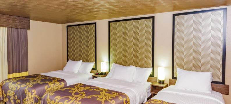 尼亚加拉时尚名品折扣店阿瑞雅汽车旅馆(Aarya Hotel by Niagara Fashion Outlets)图片