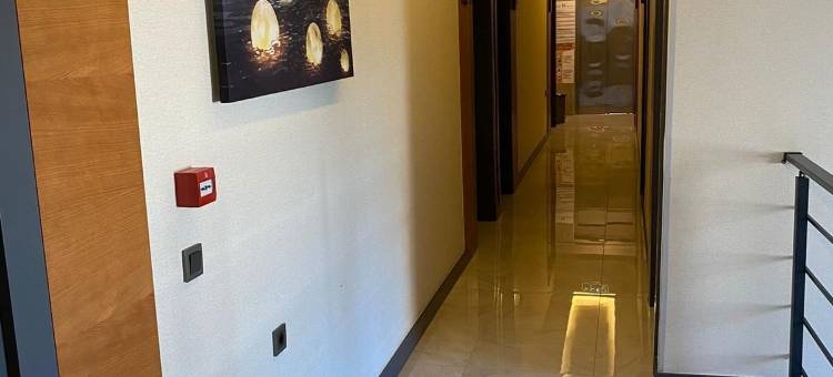 宫崎豪华酒店(Miyas Luxury Hotel)图片