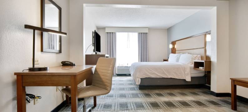 智选假日酒店-莫比尔I 65(Holiday Inn Express & Suites MOBILE – I-65 by IHG)图片