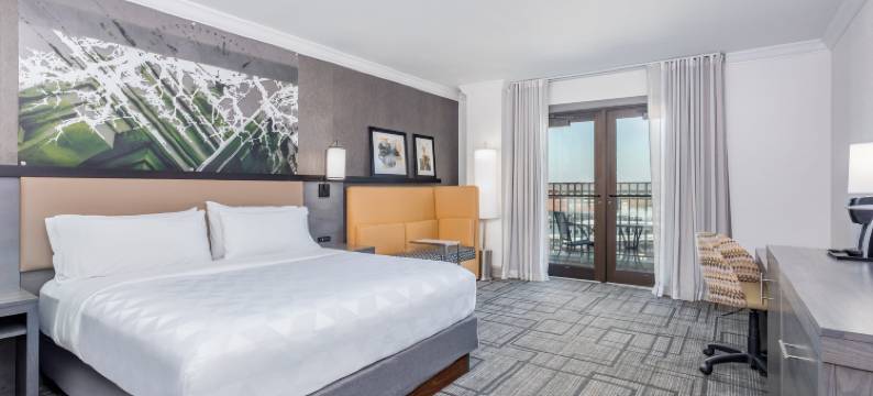 Holiday Inn 拉斐特市中心(Holiday Inn LAFAYETTE-CITY CENTRE by IHG)图片