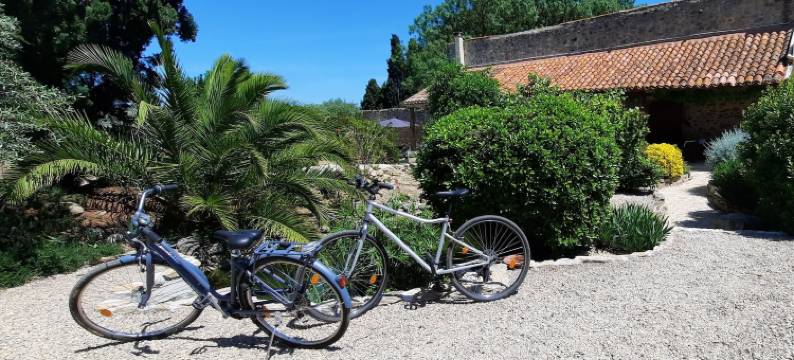 北方公鸡旅馆与招待所 - 马伊亚克(Le Coq du Nord - Mailhac Gîte et Chambres d'Hôtes)图片