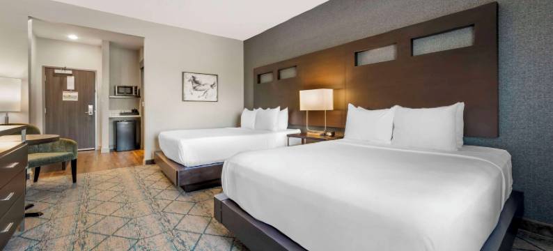 舒适酒店及套房克拉克斯维尔 - 路易斯维尔北(Comfort Inn & Suites Clarksville - Louisville North)图片