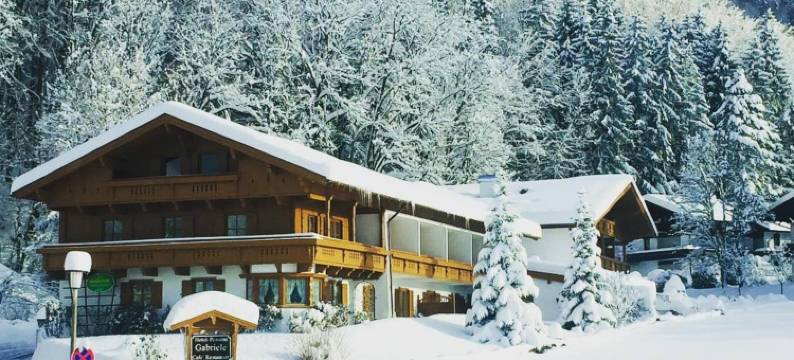 加布里埃拉酒店(Landhotel Gabriele)图片