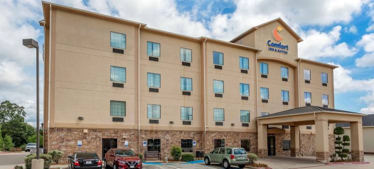 派瑞斯舒适酒店(Comfort Inn & Suites Paris)图片