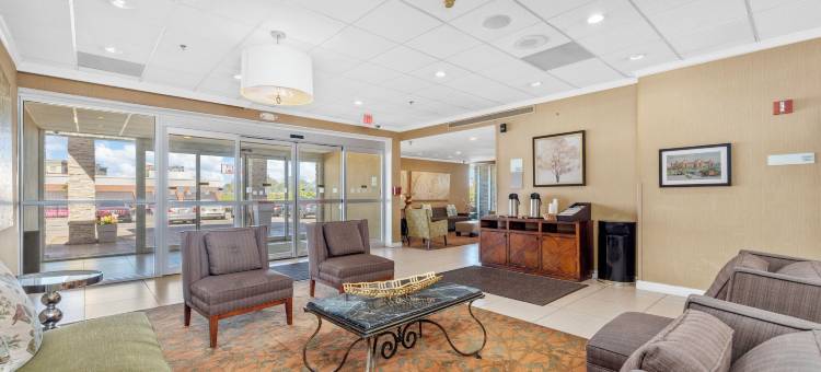 圣路易斯森林公园假日酒店(Forest Park Hotel by MDR)图片