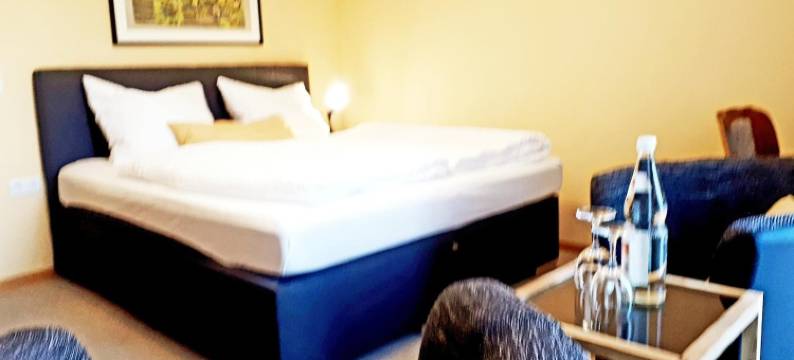 迪尼斯餐厅酒店(Hotel Restaurant Denis)图片