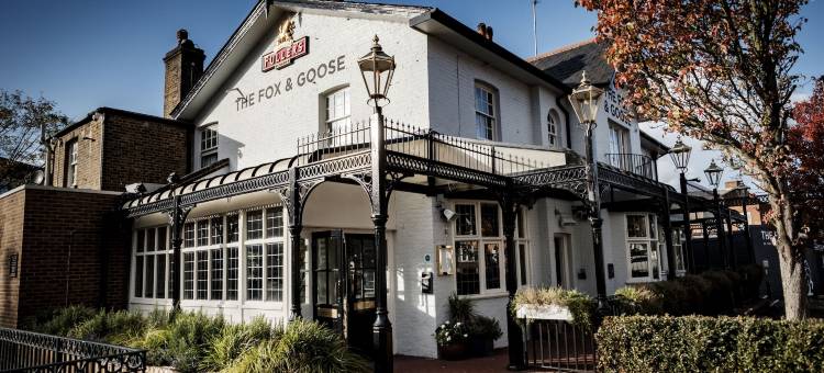 狐狸&鹅酒店(The Fox & Goose Hotel)图片