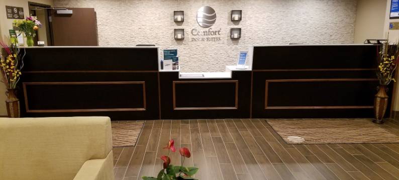 弗纳尔-国家公园区舒适套房酒店(Comfort Inn & Suites Vernal - National Monument Area)图片