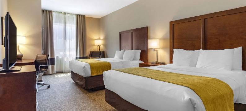 舒适套房酒店(Comfort Inn & Suites)图片