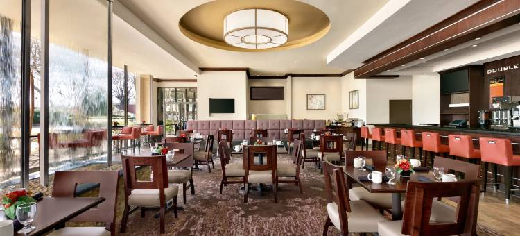 亚特兰大东北诺斯莱克希尔顿逸林酒店(DoubleTree by Hilton Hotel Atlanta Northlake)图片
