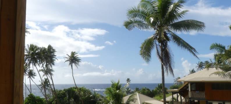 沃萨尼乌山林小屋旅馆(Fiji Lodge Vosa Ni Ua)图片