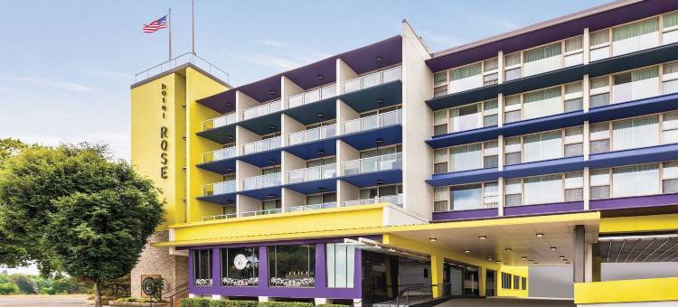 Staypineapple酒店-玫瑰酒店-波特兰市中心(Staypineapple, Hotel Rose, Downtown Portland)图片