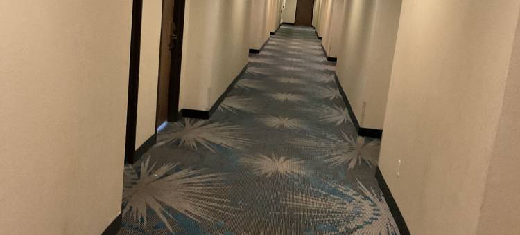 科罗拉多斯普林斯机场戴斯酒店(Days Inn by Wyndham Colorado Springs Airport)图片