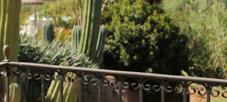 图洛乡村庄园酒店(Finca Hotel Rural Es Turó)图片