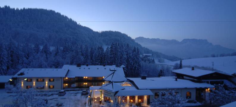 纽豪斯高级酒店(Hotel Neuhäusl Superior)图片