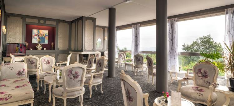 阿勒克桑餐厅及康体中心酒店(Alexain Hotel Restaurant & Wellness - Colmar Ouest)图片